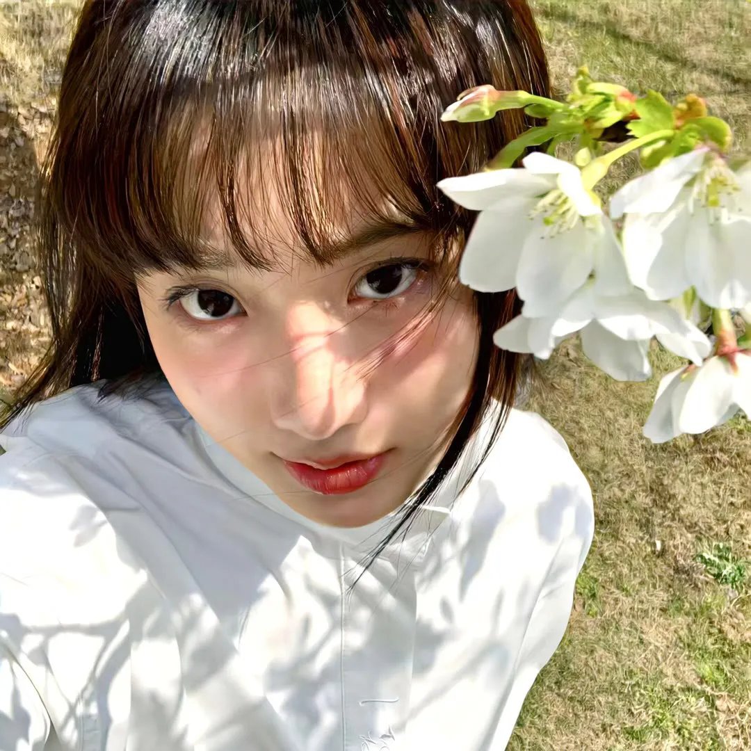 泡芙小姐第二季 海报